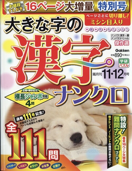 大きな字の漢字ナンクロ 2020年 11月號