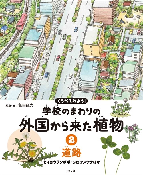 くらべてみよう!學校のまわりの外國から來た植物 (2)