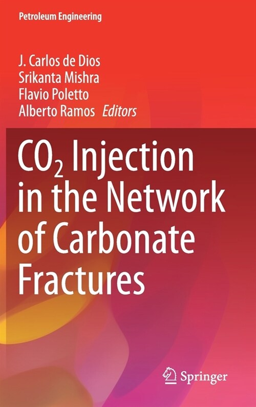 CO2 Injection in the Network of Carbonate Fractures (Hardcover)