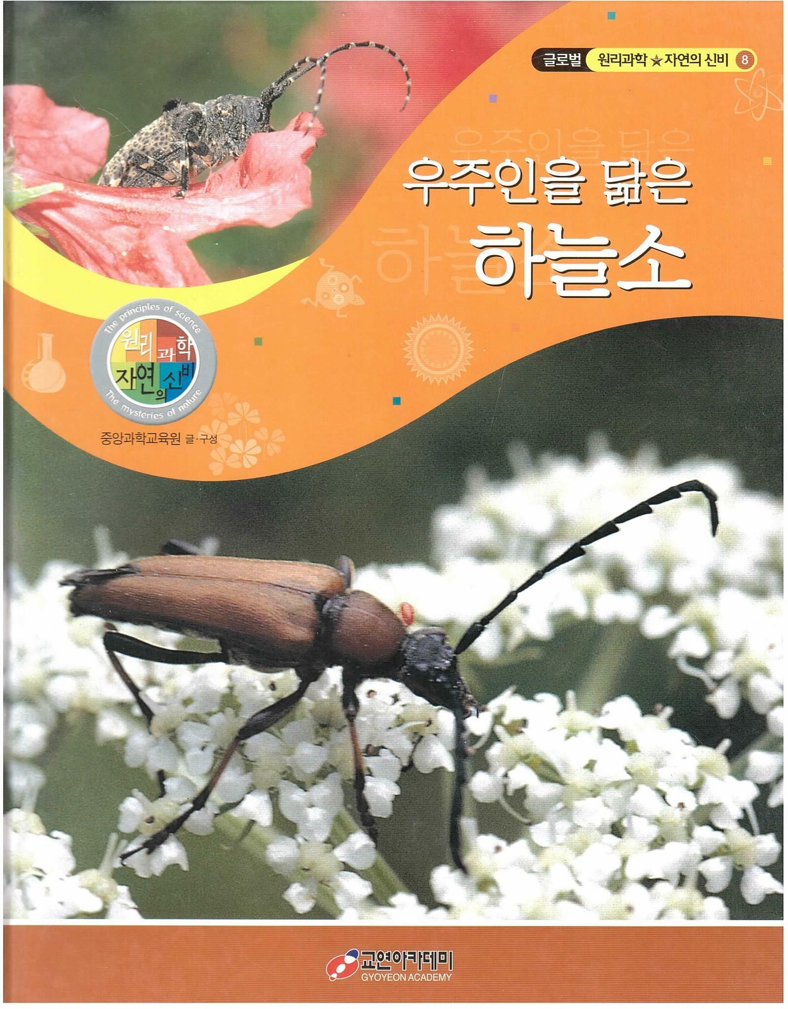 신착자료검색  : 평촌도서관 평촌도서관
