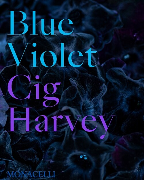 Blue Violet (Hardcover)