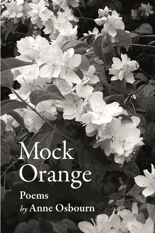 Mock Orange (Paperback)