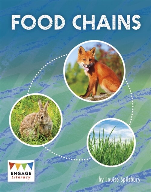 Food Chains (Paperback)