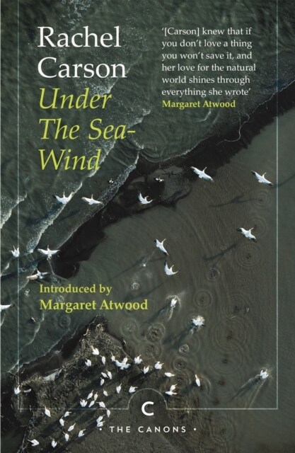 Under the Sea-Wind (Paperback, Main - Canons)