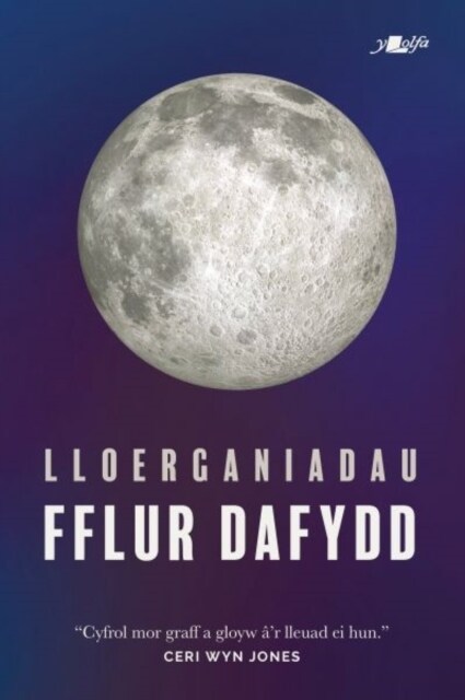 Lloerganiadau (Paperback)