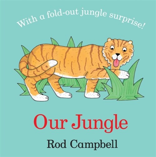 Our Jungle (Board Book)