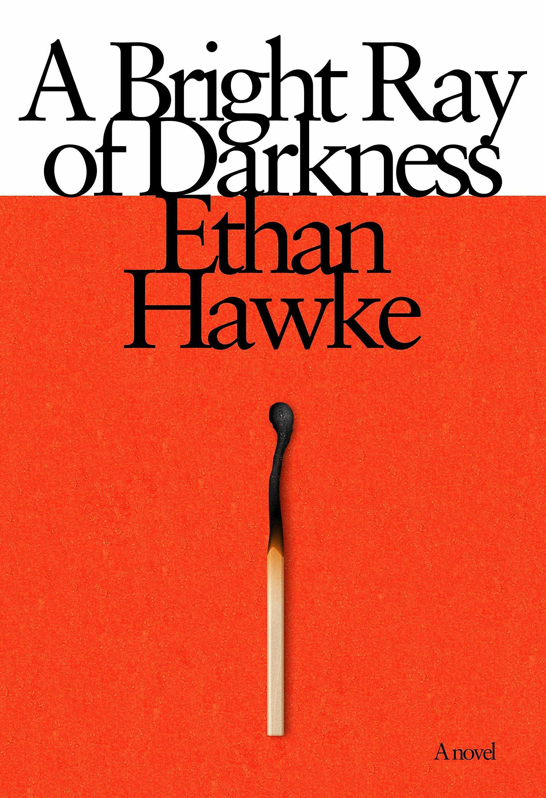 A Bright Ray of Darkness : A novel (Paperback)