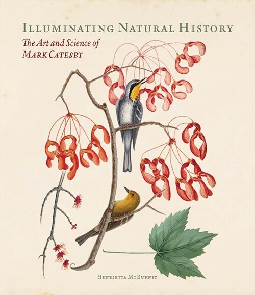 Illuminating Natural History : The Art and Science of Mark Catesby (Hardcover)