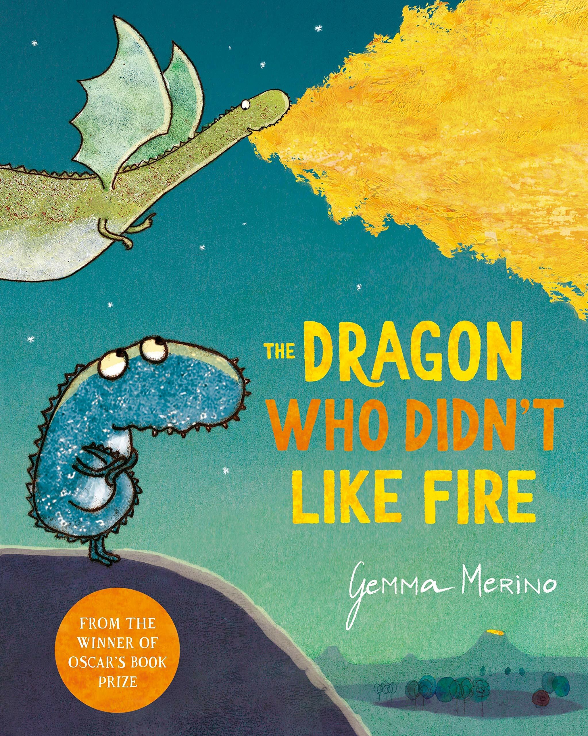 The Dragon Who Didnt Like Fire (Paperback)