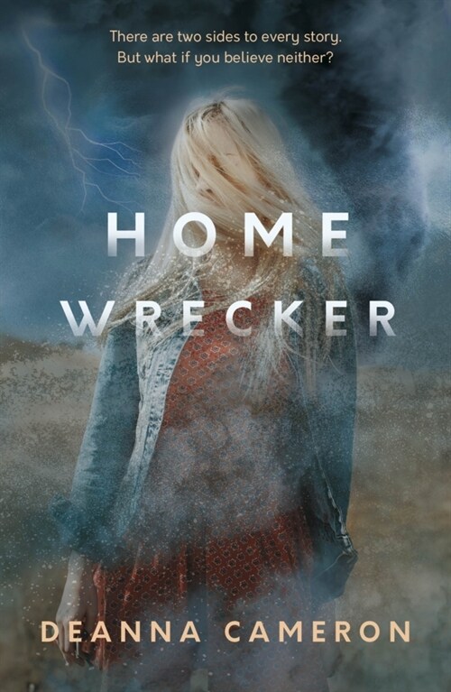 Homewrecker (Paperback)