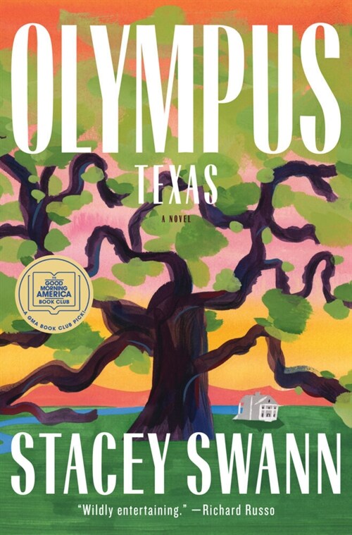 Olympus, Texas : A Novel (Paperback)