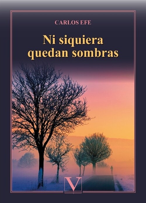 NI SIQUIERA QUEDAN SOMBRAS (Paperback)