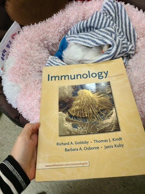 [중고] Immunology (Paperback, 5th)