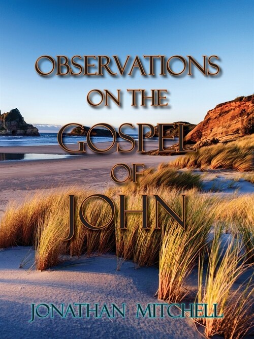 Observations on the Gospel of John (Paperback)