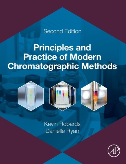 Principles and Practice of Modern Chromatographic Methods (Paperback, 2)