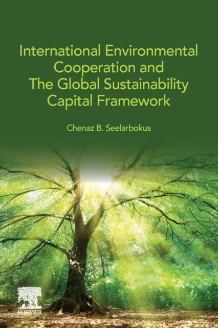 International Environmental Cooperation and the Global Sustainability Capital Framework (Paperback)