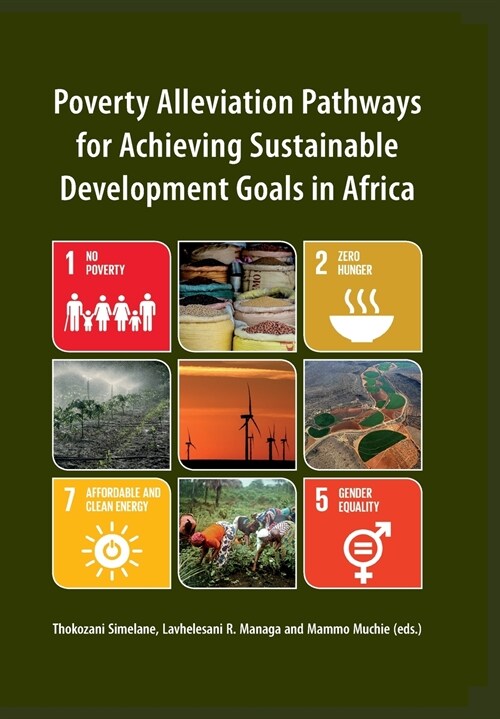 Poverty Alleviation Pathways for Achieving Sustainable Development Goals in Africa (Paperback)