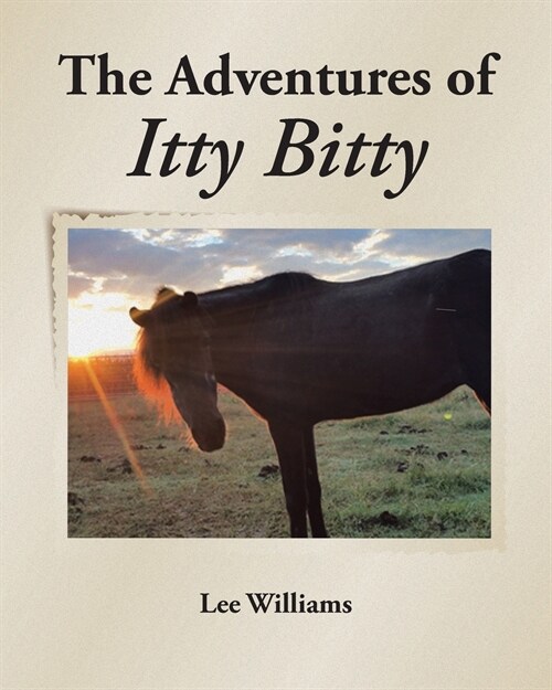 The Adventures of Itty Bitty (Paperback)