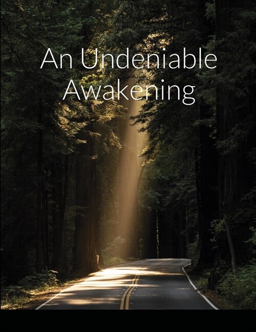 An Undeniable Awakening (Paperback)