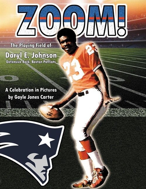 Zoom: The Playing Field of Daryl E. Johnson (Paperback)