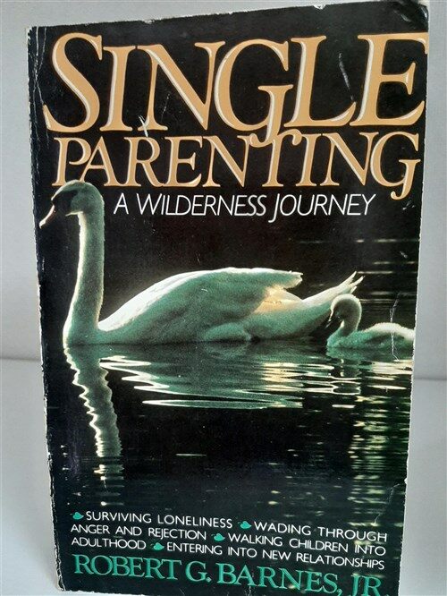 [중고] [인간관계] Single Parenting : A Wilderness Journey  (paperback)