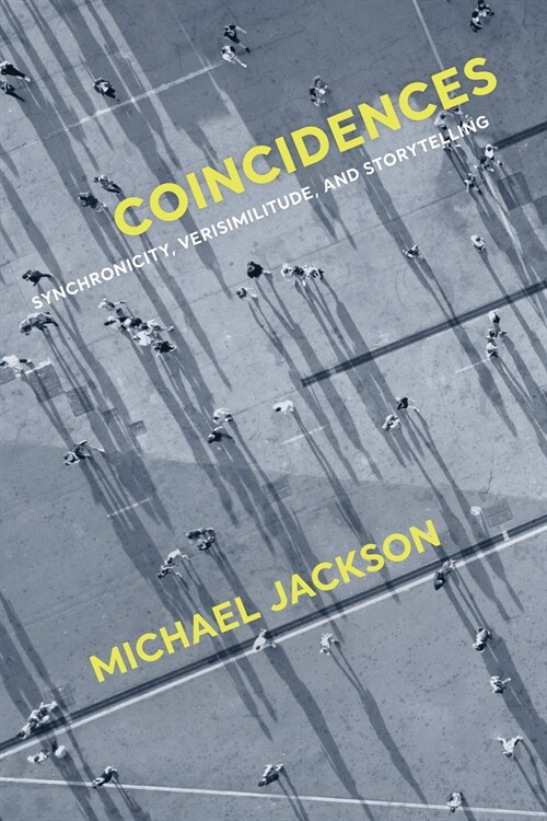 Coincidences: Synchronicity, Verisimilitude, and Storytelling (Hardcover)