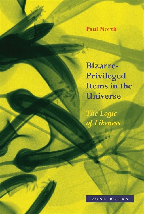 Bizarre-Privileged Items in the Universe: The Logic of Likeness (Hardcover)