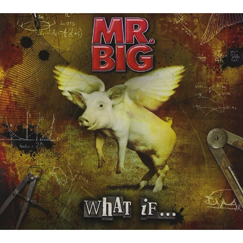 [수입] Mr. Big - What If... [CD+DVD]