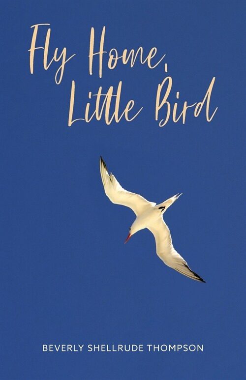 Fly Home, Little Bird (Paperback)