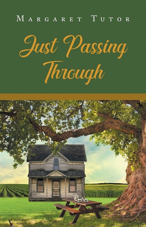Were All Just Passing Through (Paperback)