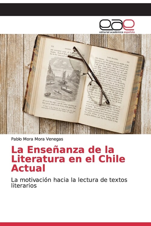 La Ense?nza de la Literatura en el Chile Actual (Paperback)