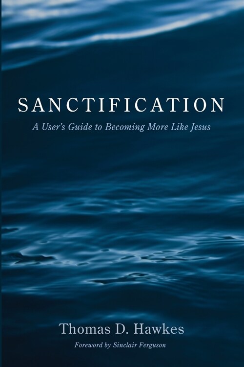 Sanctification (Paperback)