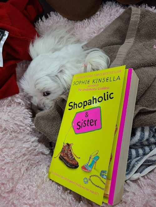 [중고] Shopaholic & Sister (Mass Market Paperback)