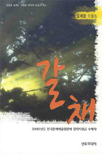 갈채 : 오세윤 수필집