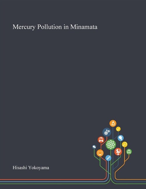 Mercury Pollution in Minamata (Paperback)