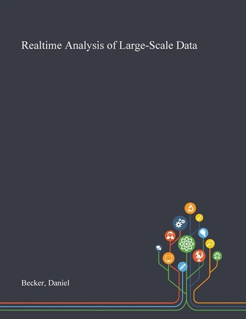 Realtime Analysis of Large-Scale Data (Paperback)