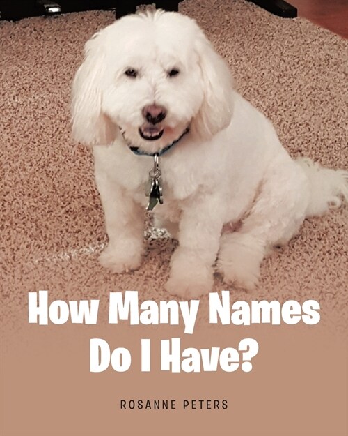 How Many Names Do I Have? (Paperback)