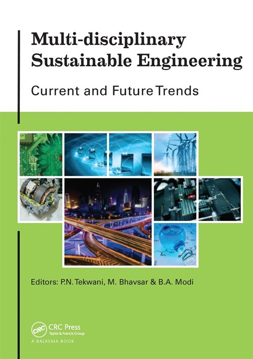 Multi-disciplinary Sustainable Engineering: Current and Future Trends : Proceedings of the 5th Nirma University International Conference on Engineerin (Paperback)