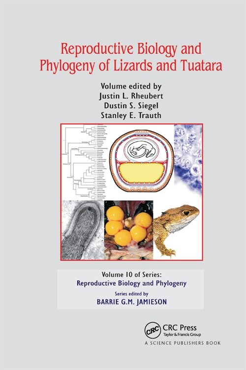 Reproductive Biology and Phylogeny of Lizards and Tuatara (Paperback, 1)