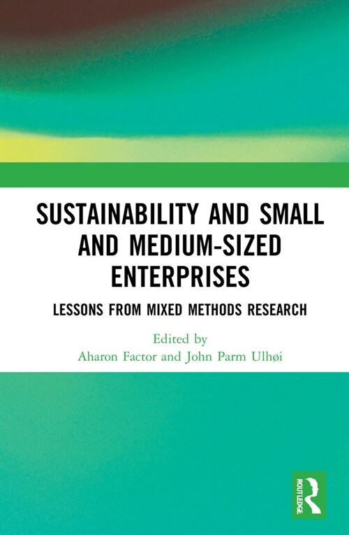 Sustainability and Small and Medium-sized Enterprises : Lessons from Mixed Methods Research (Hardcover)