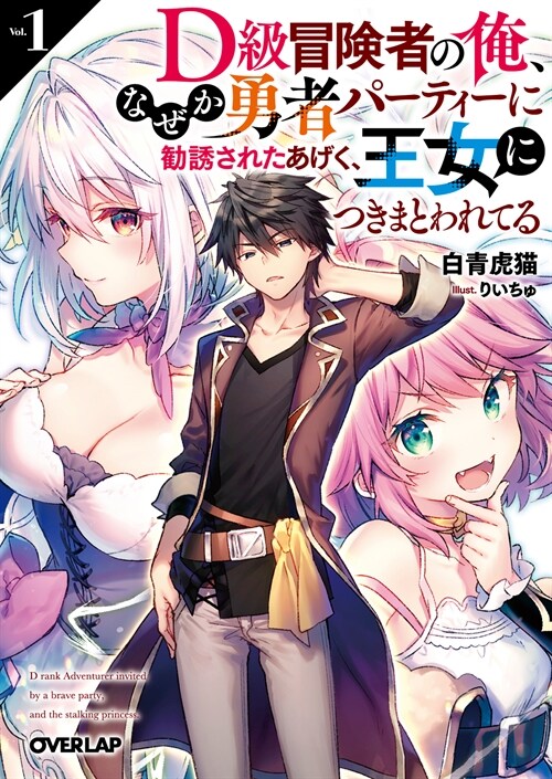 D級冒險者の俺、なぜか勇者パ-ティ-に勸誘されたあげく、王女につきまとわれてる 1 (オ-バ-ラップ文庫)