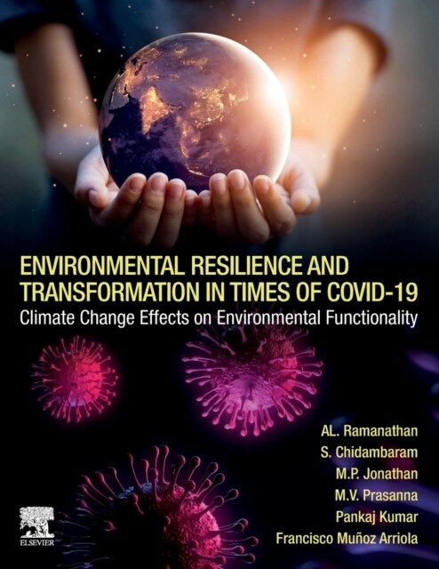 Environmental Resilience and Transformation in Times of Covid-19: Climate Change Effects on Environmental Functionality (Paperback)