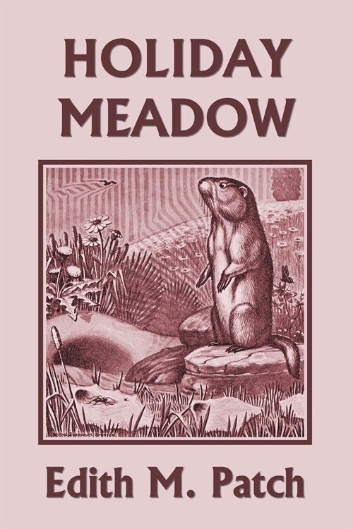 Holiday Meadow (Yesterdays Classics) (Paperback)