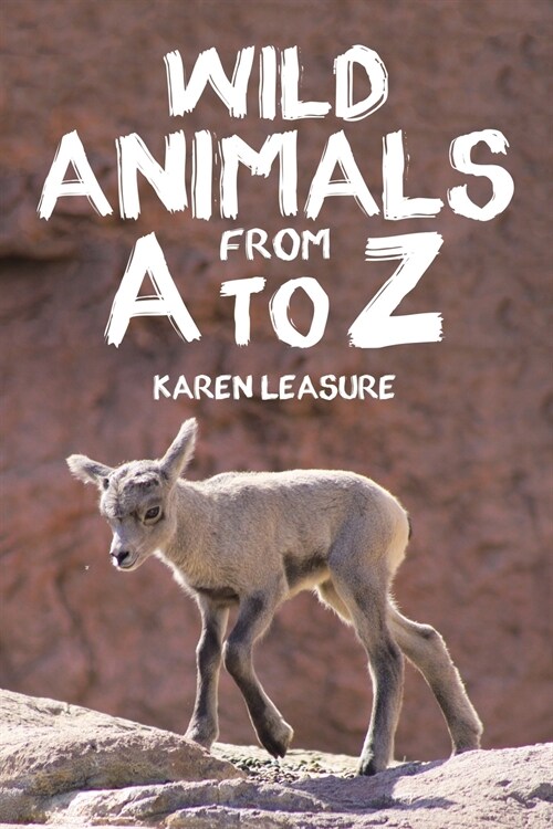 Wild Animals from A To Z (Paperback)