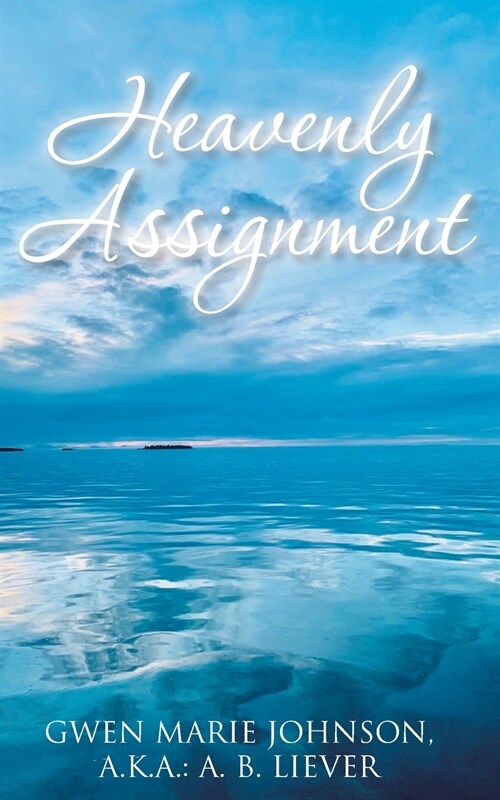 Heavenly Assignment (Paperback)