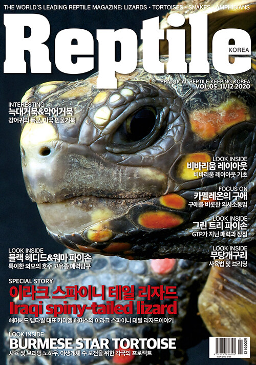 Reptile KOREA 렙타일 코리아 2020.11.12