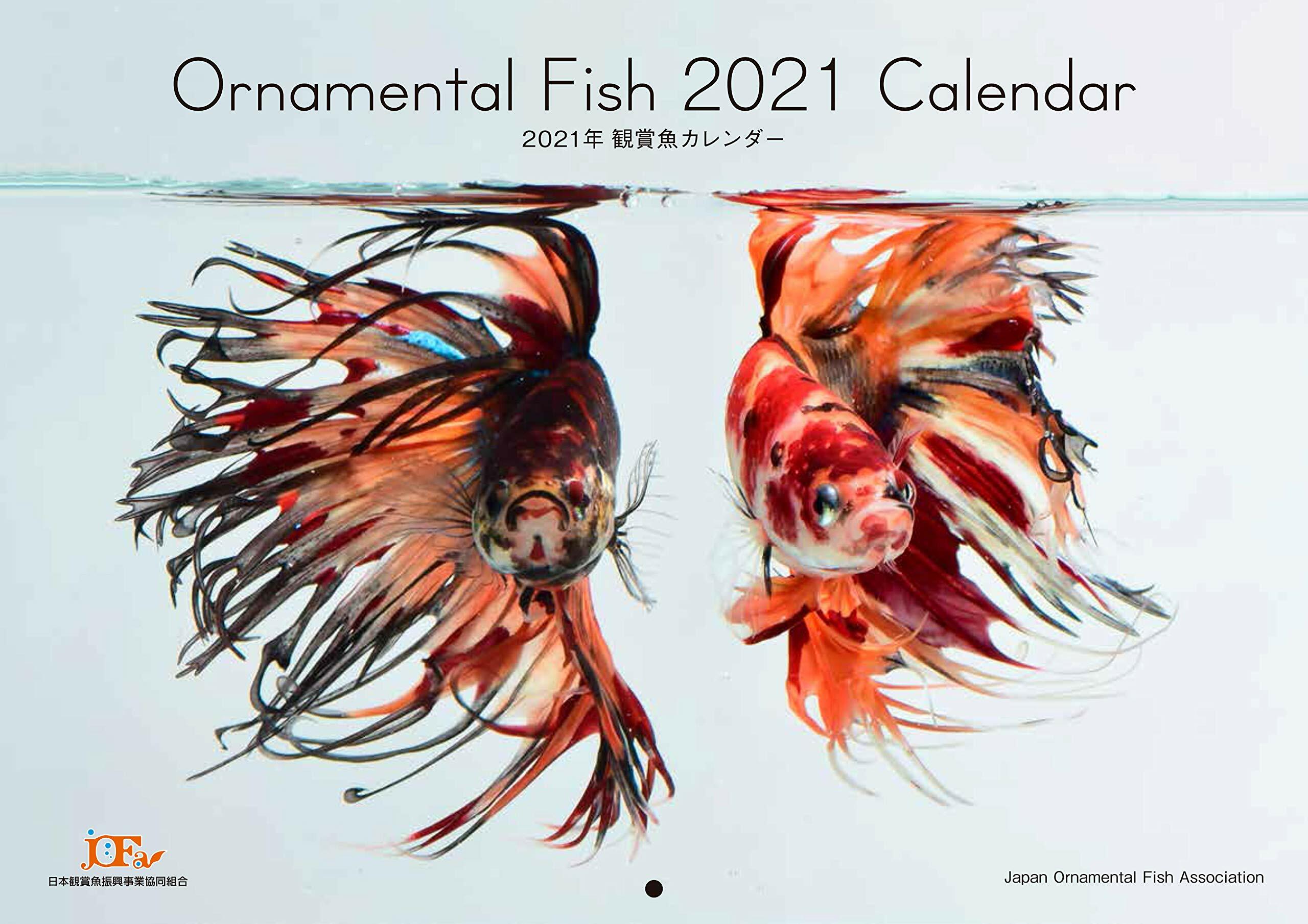 Ornamental Fish 觀賞魚カレンダ-