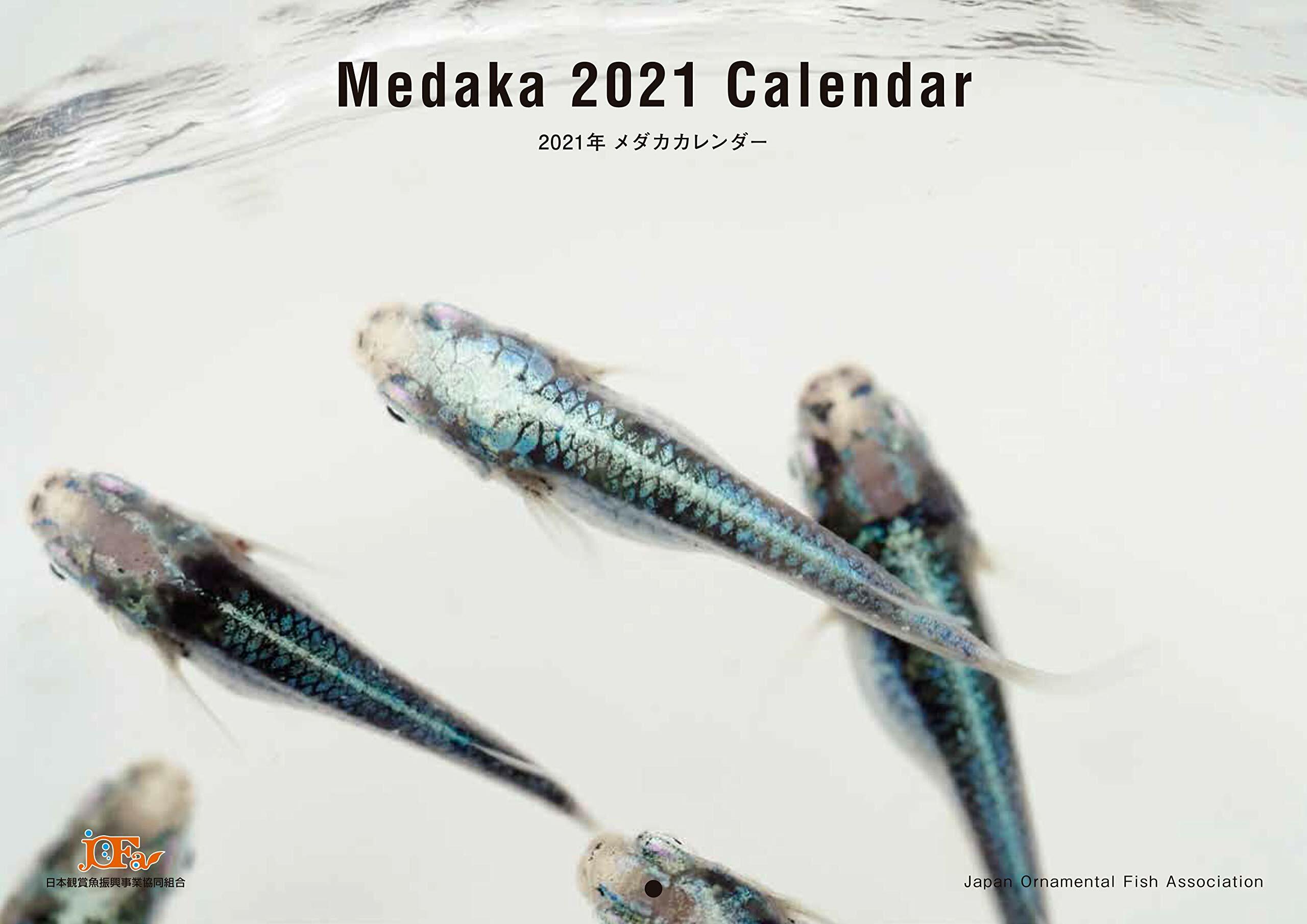 Medaka Calendar(メダカカレンダ-)