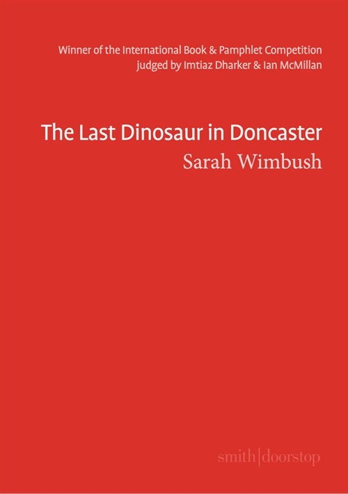 The Last Dinosaur in Doncaster (Paperback)