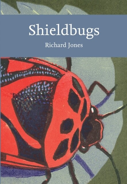 Shieldbugs (Paperback)